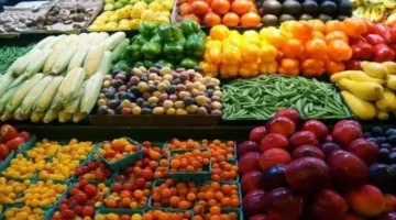 الكنتالوب بكام النهاردة؟.. أسعار الفاكهة اليوم الأربعاء 13 مايو 2026